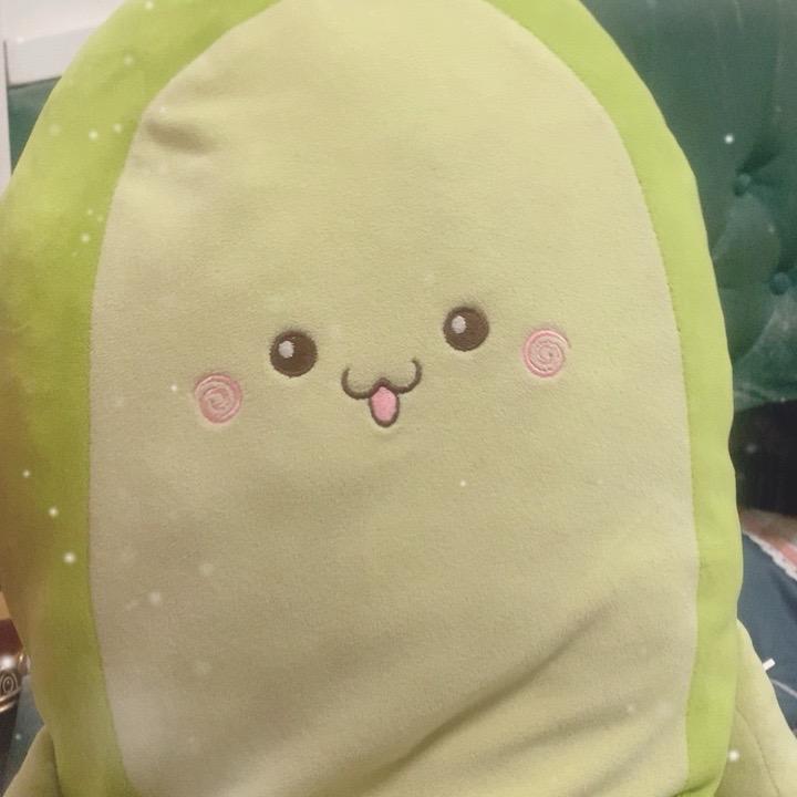 菲菲
