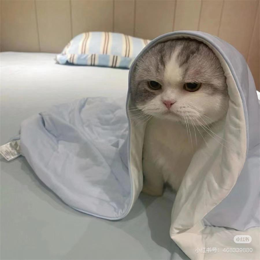 买瑞ˡᵃ 🍈