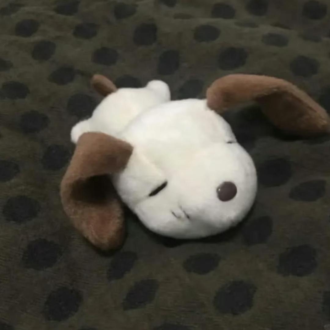 我就说好吃吧