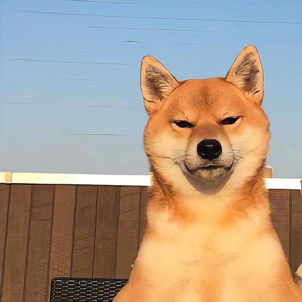 😶‍🌫️😶‍🌫️😶‍🌫️头像