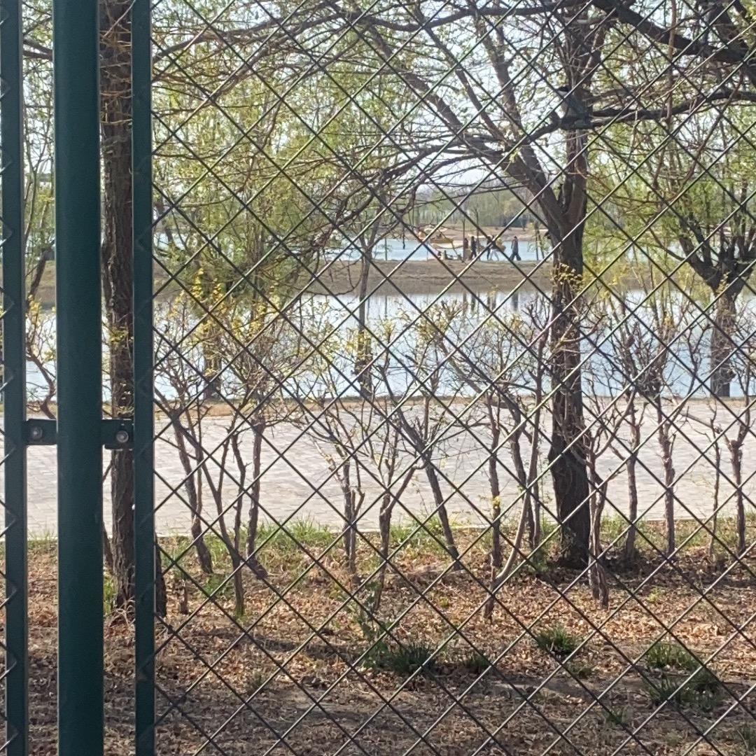 衡水0001<请主页＋