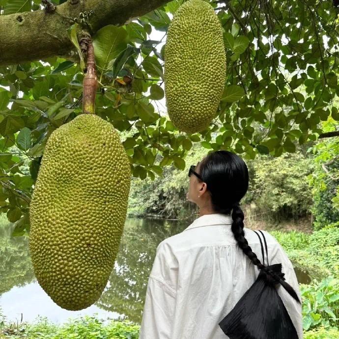 🥔土豆炖地蛋儿