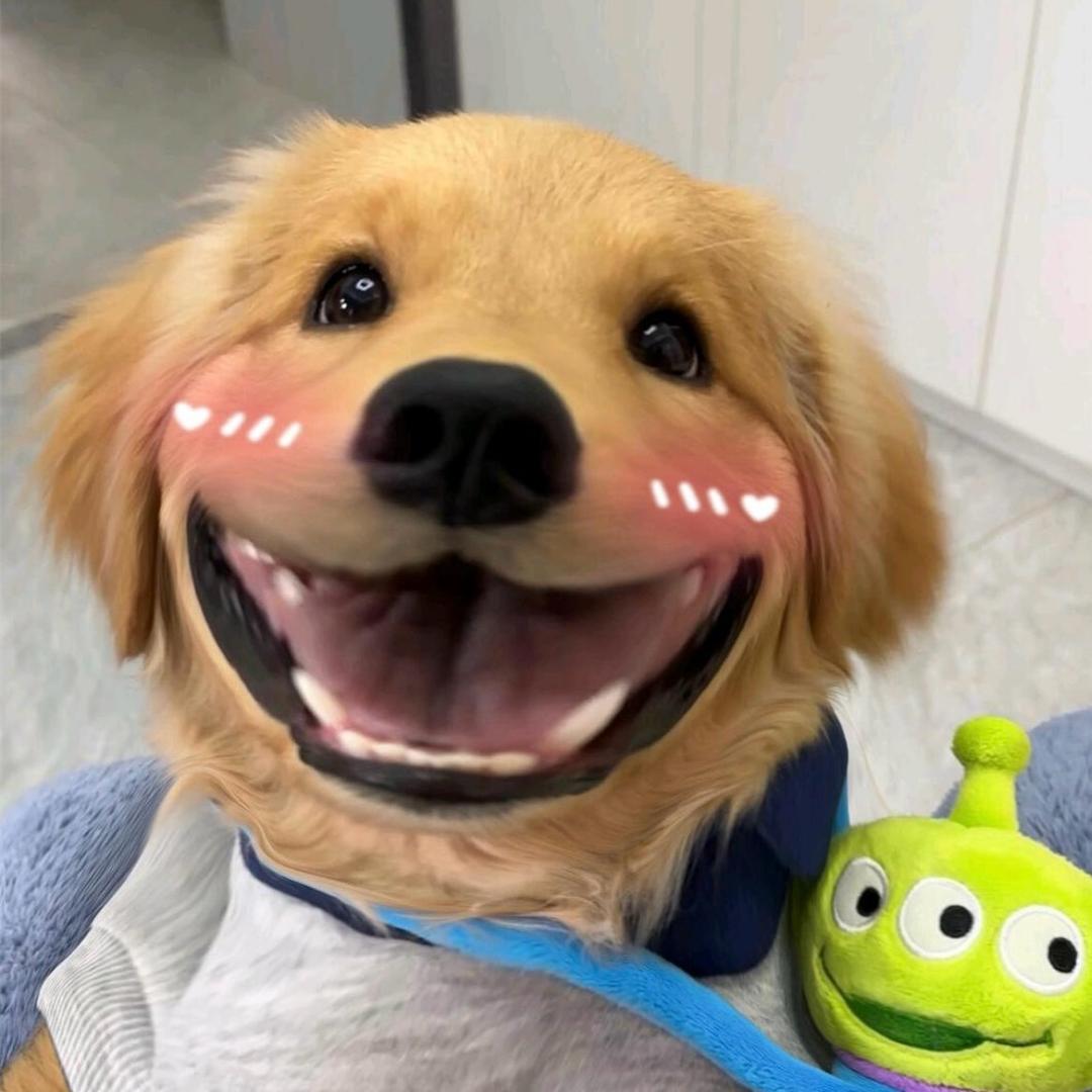 老的男孩