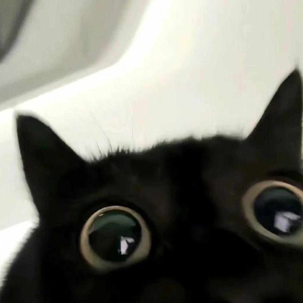一种