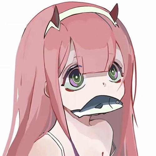 琦怪