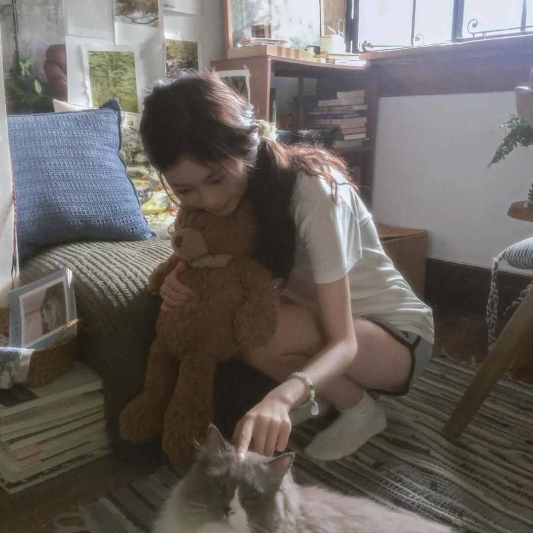 你是不是油猫饼