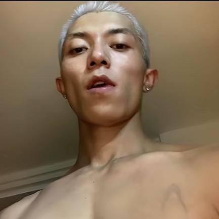 🕊️
