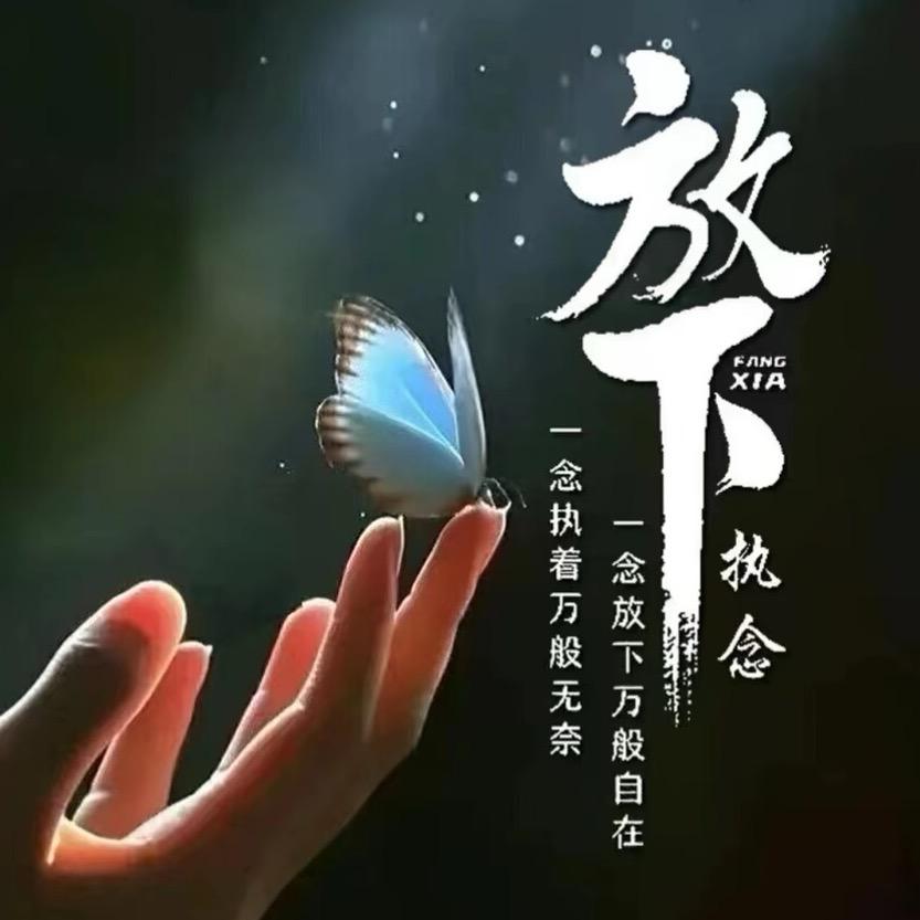 纯属潇洒