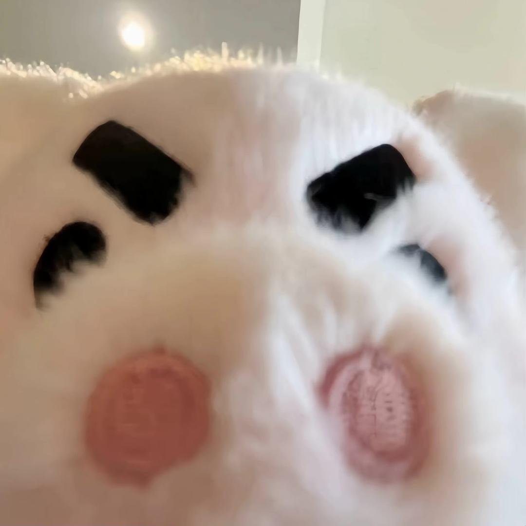 明年