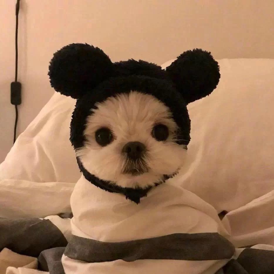 华仔^_^v