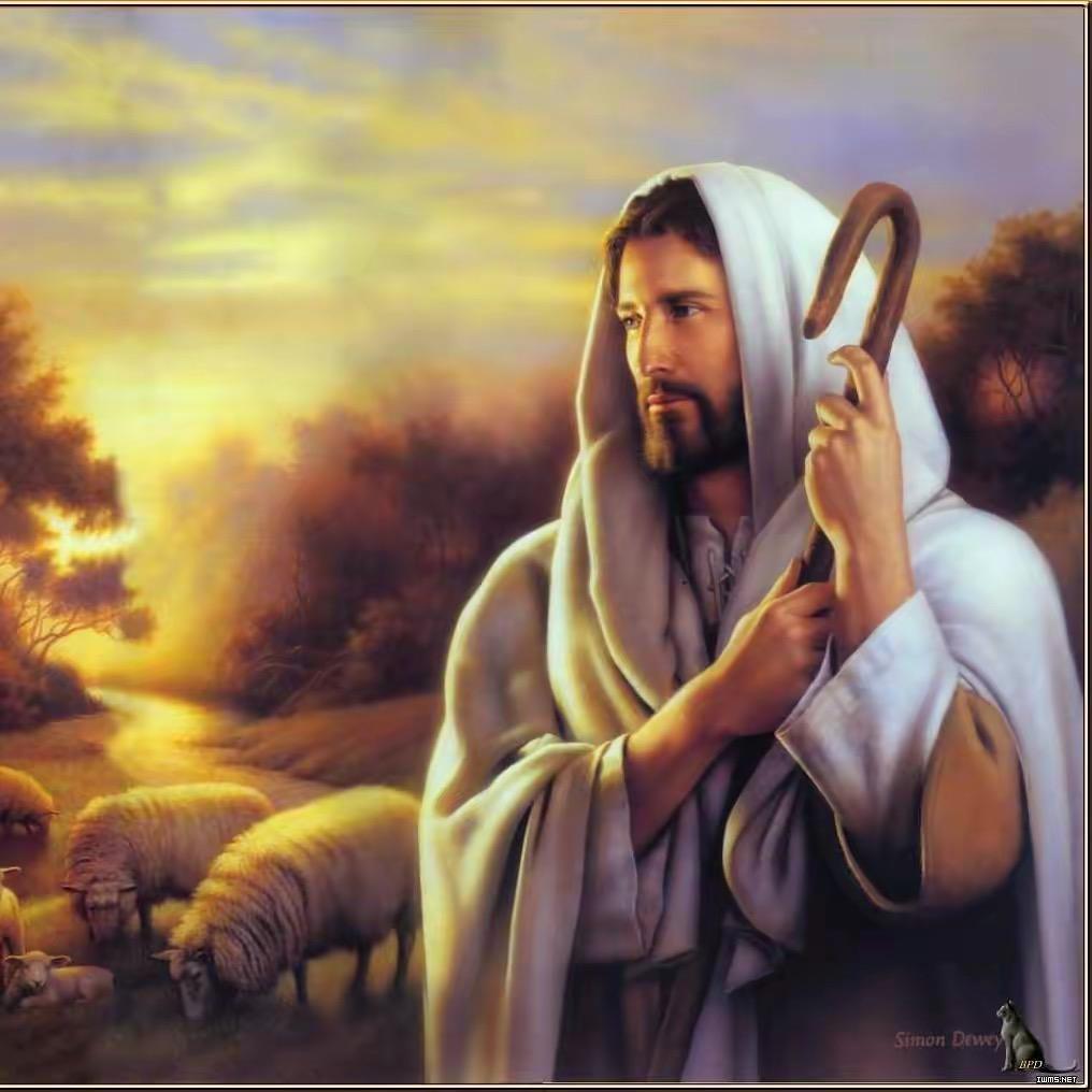 农村小哥（关我必回）