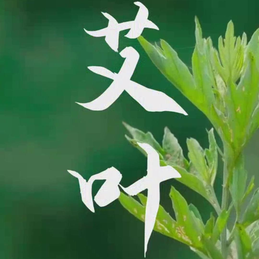 艾之源