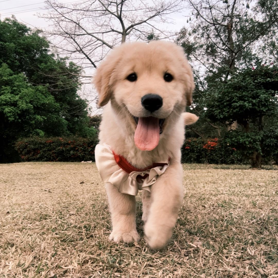 哈哈哈哈哈哈哈哈哈哈哈哈哈