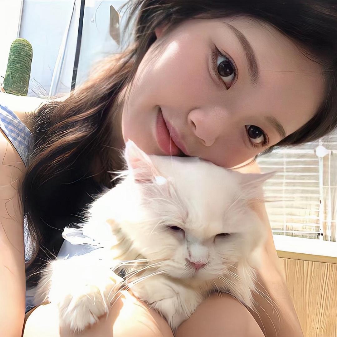 发财小猫