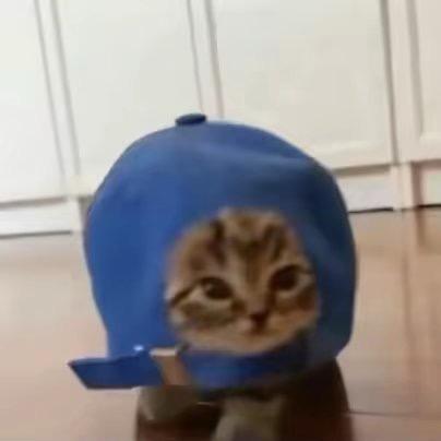 神湾藤