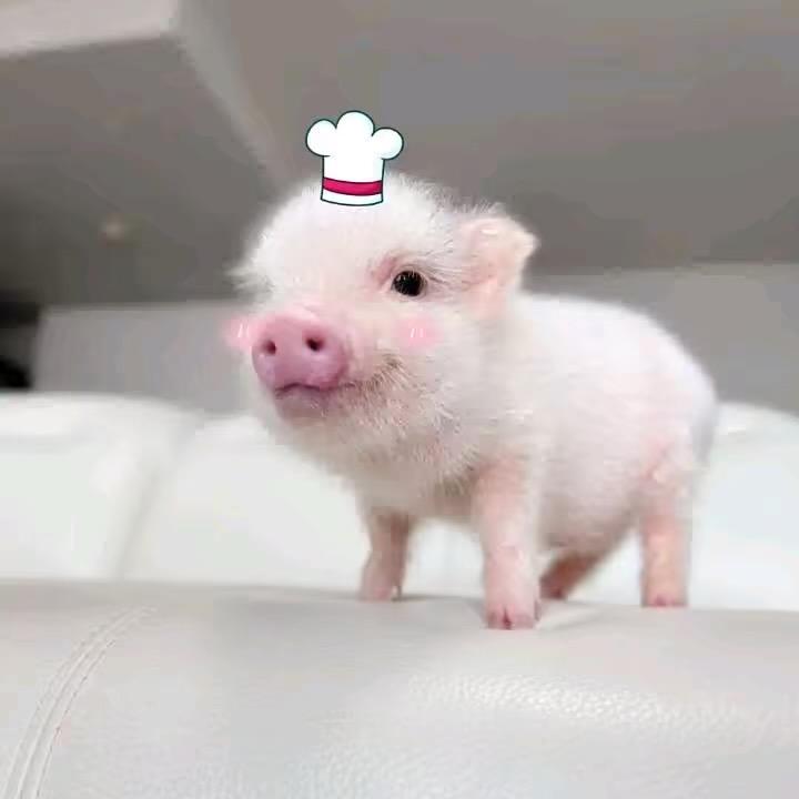 ㅤ ㅤ ㅤ ㅤ
