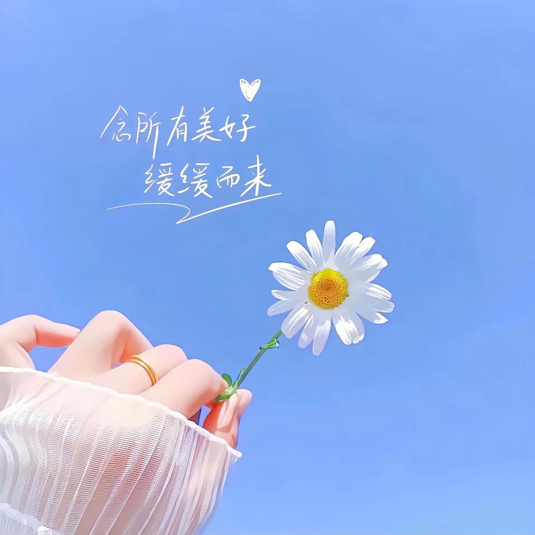 🍀锦 汐🍀