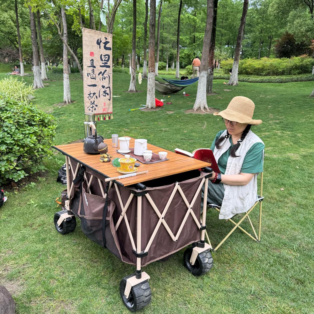 高老师爱分享【雅琴茗轩】
