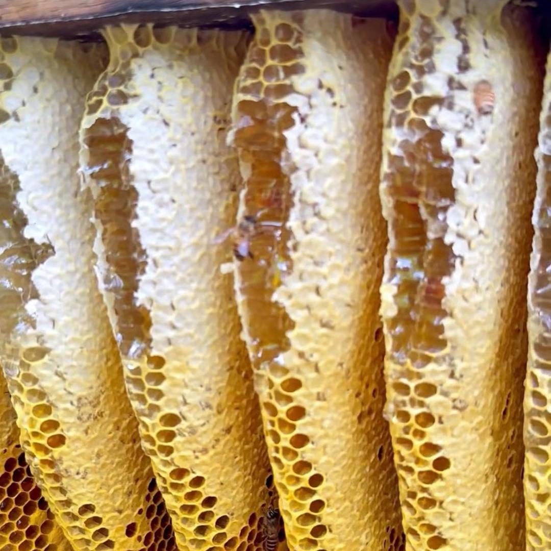 沪琪贸易甜甜6号店