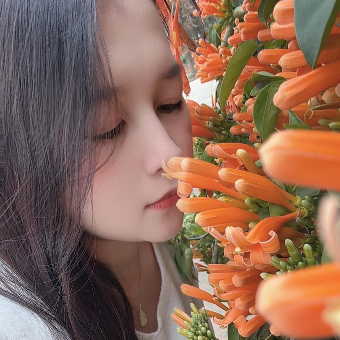 ❤️燕子
