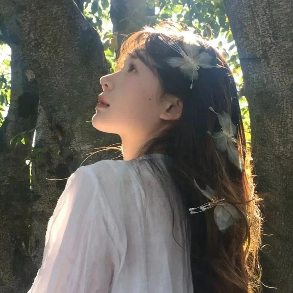 小鱼