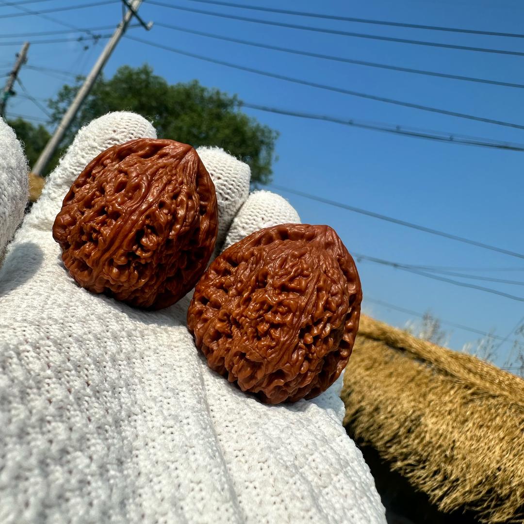 老李l文玩核桃打底。(不定时直播)