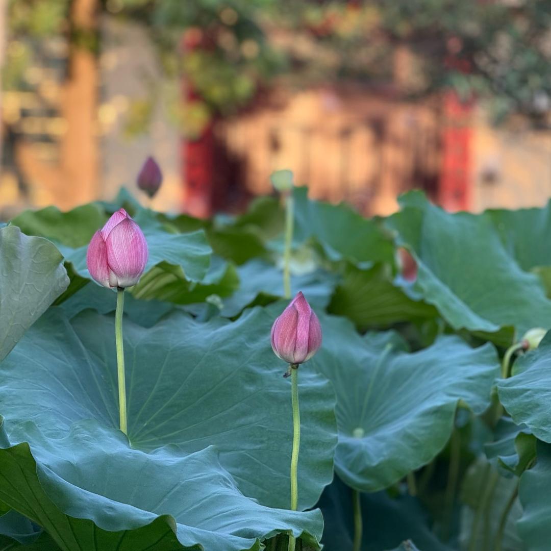 小汐