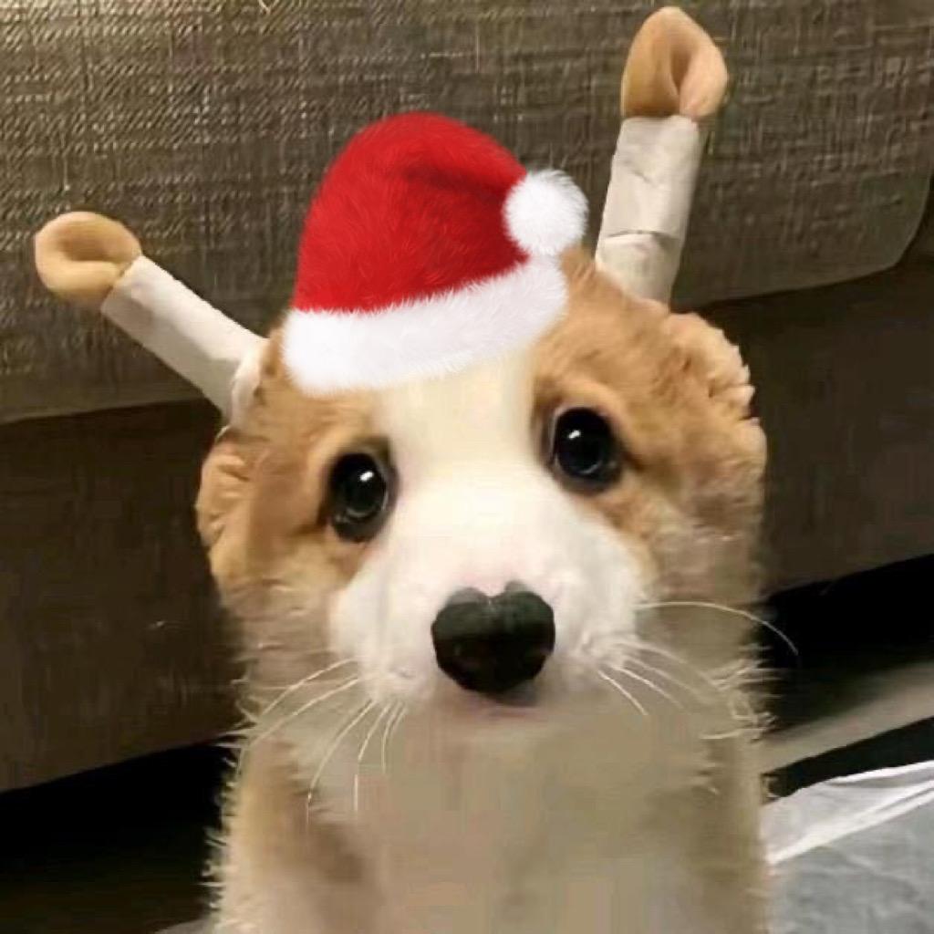 啊美的女装优品小铺