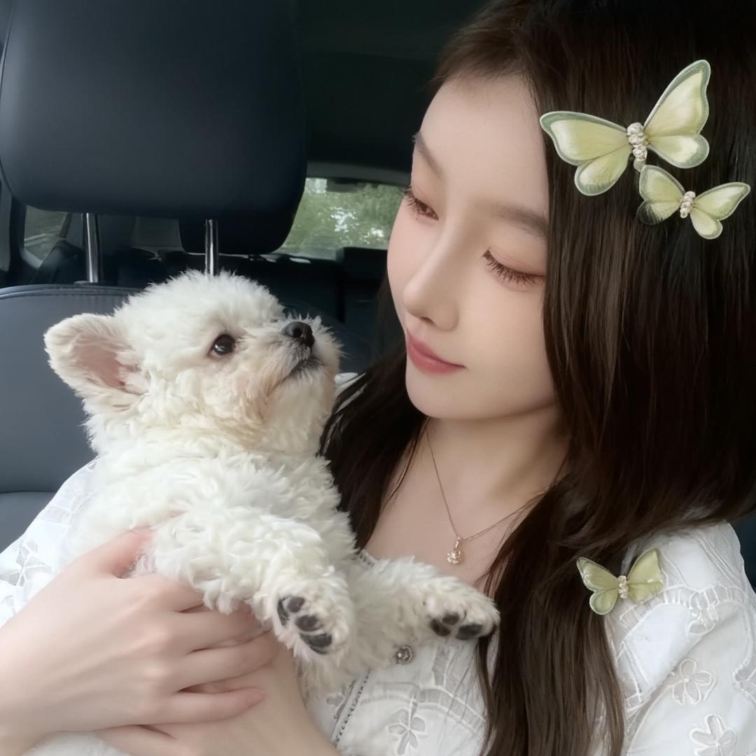 福宝是只小比熊