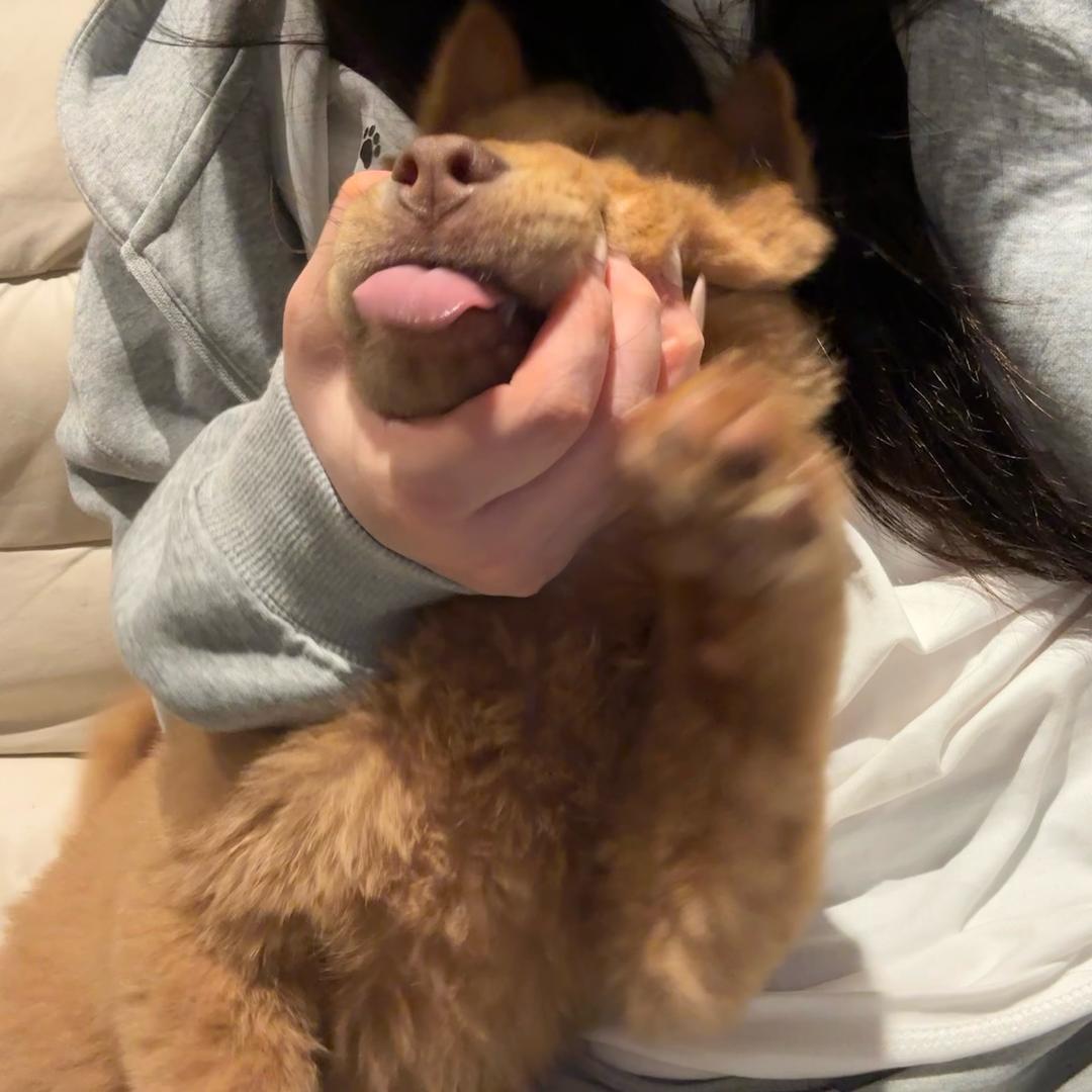 肖旺财和臭咪咪🐕🐈