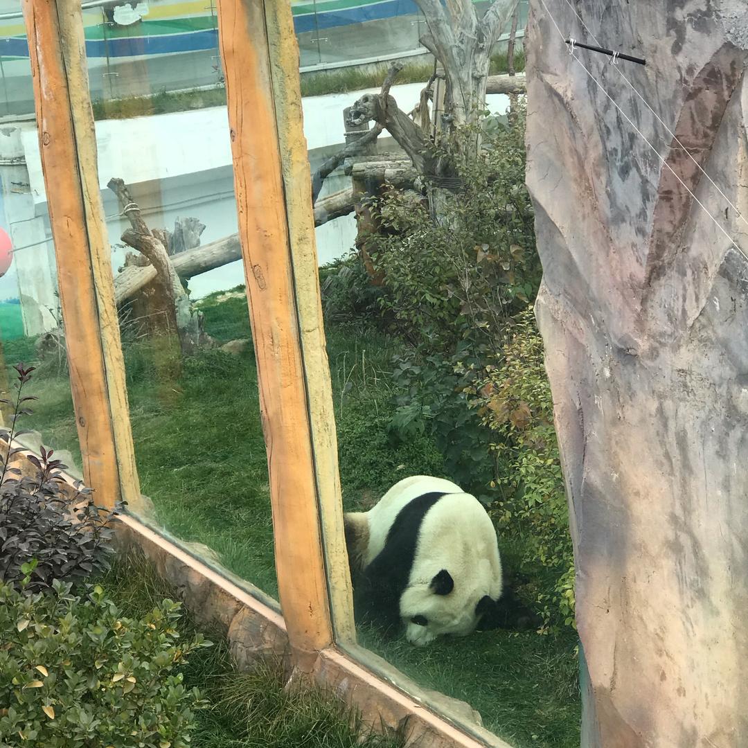 婉嫣秋色