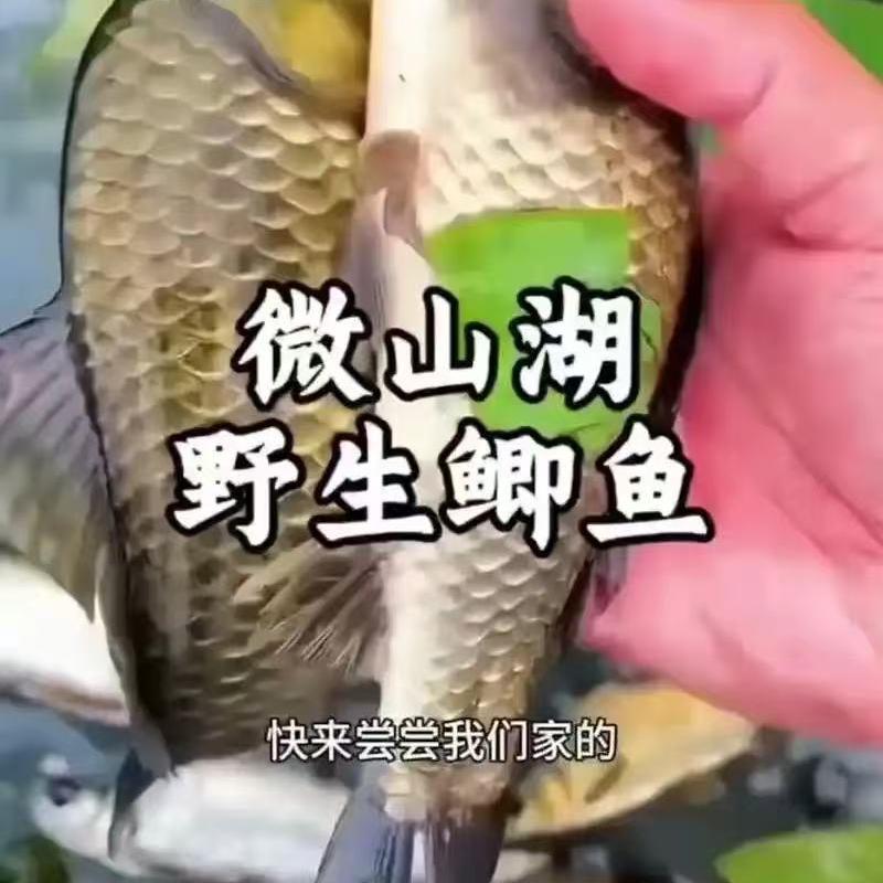 幸福里食品铺子