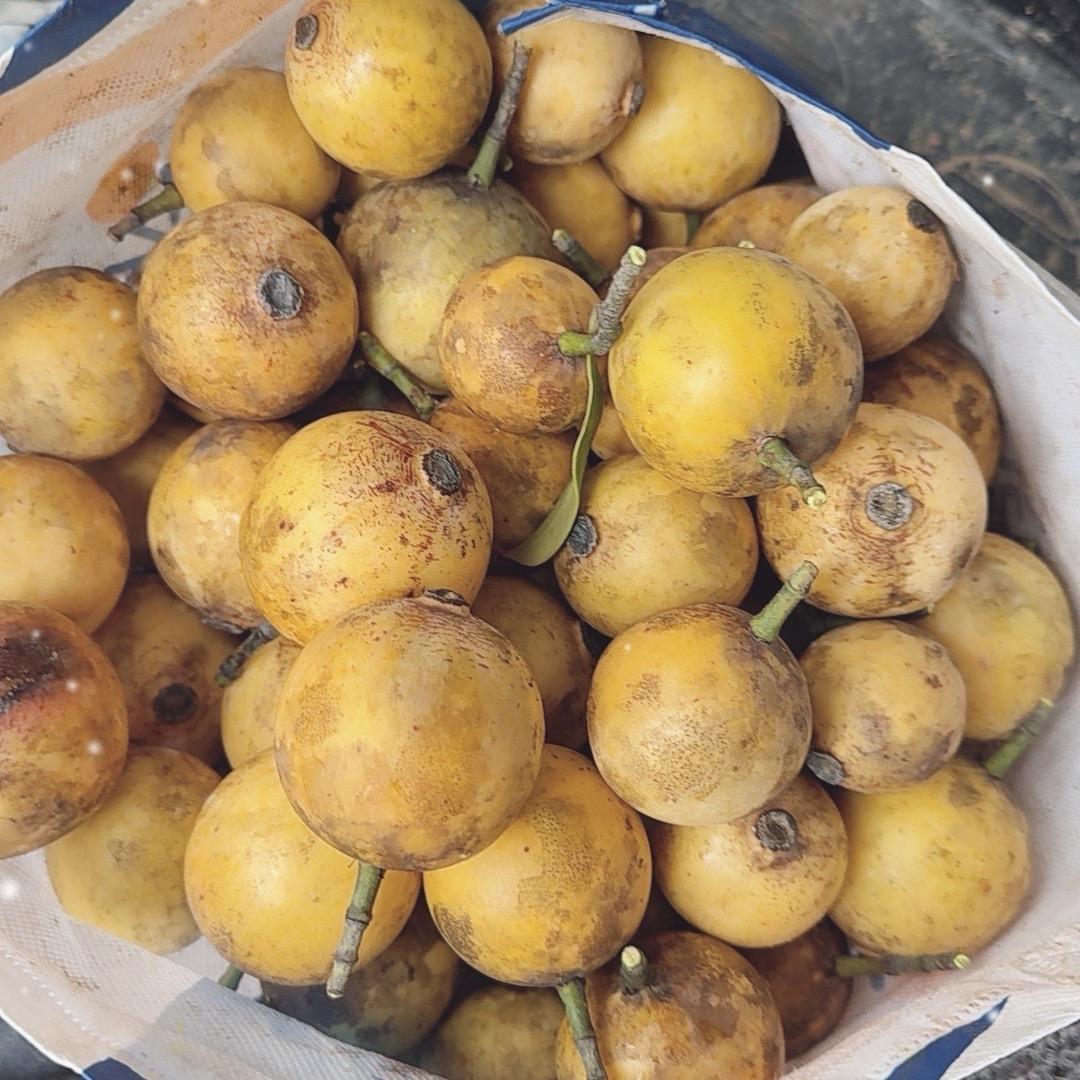 开挖机夹木的单身哥