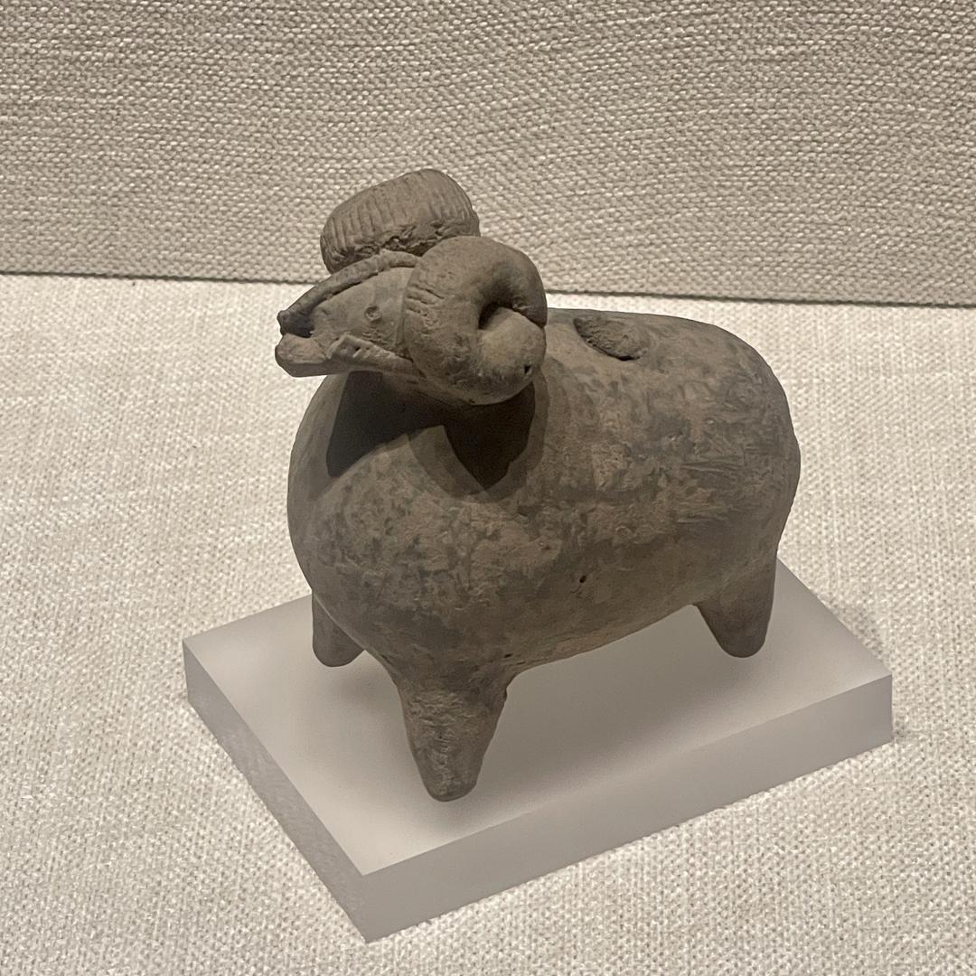 桑坡小老板