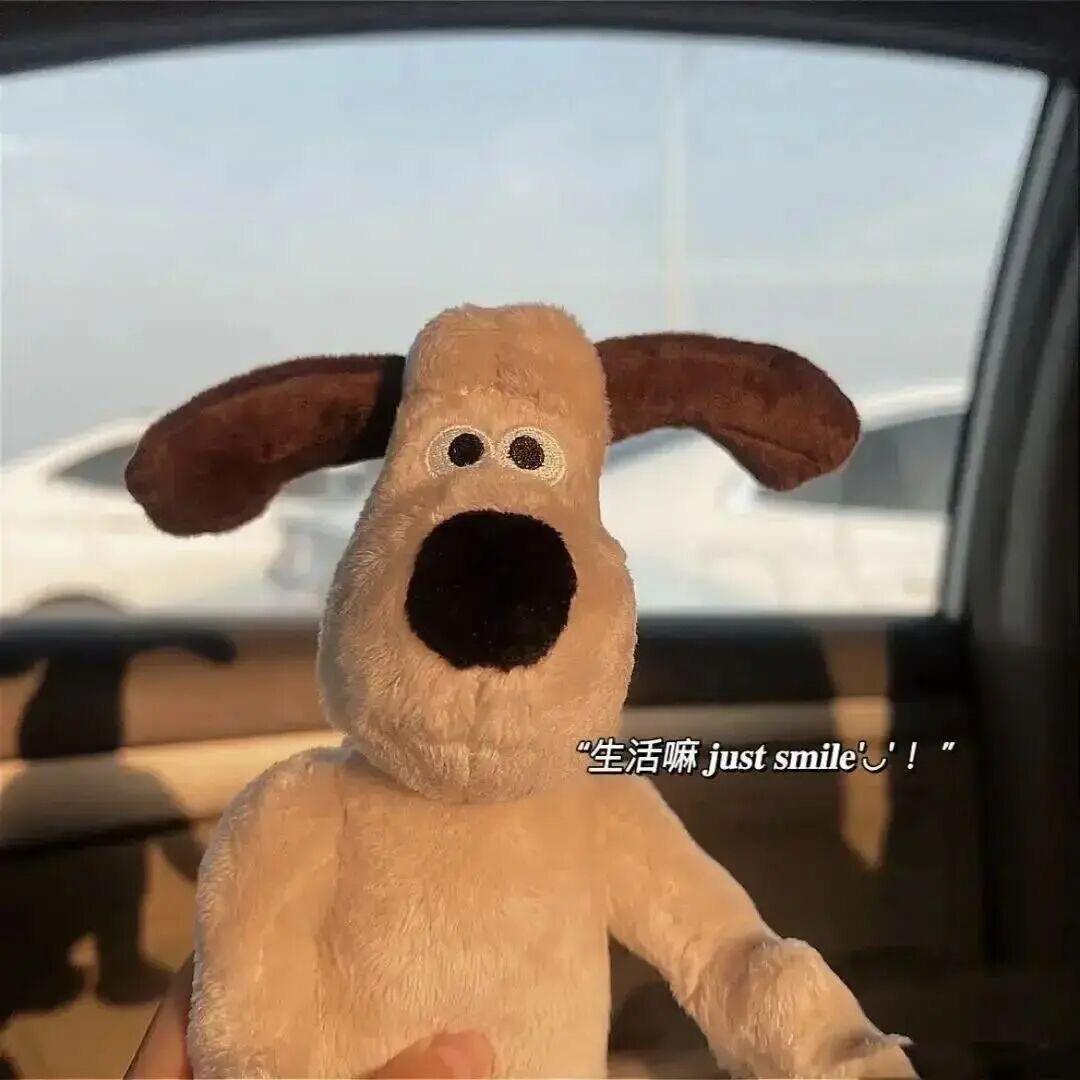 宁宁啊宁呀❤️