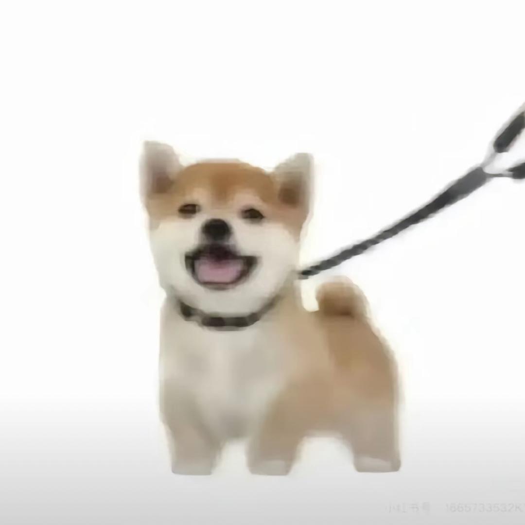 Hh