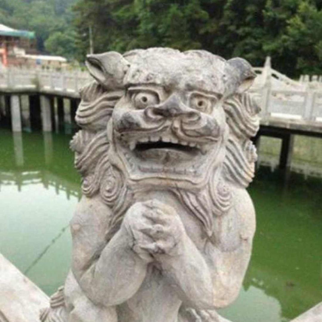 控龙🦕抗浪抗浪抗