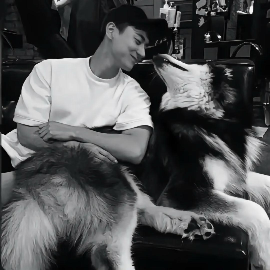 小石鉴宠