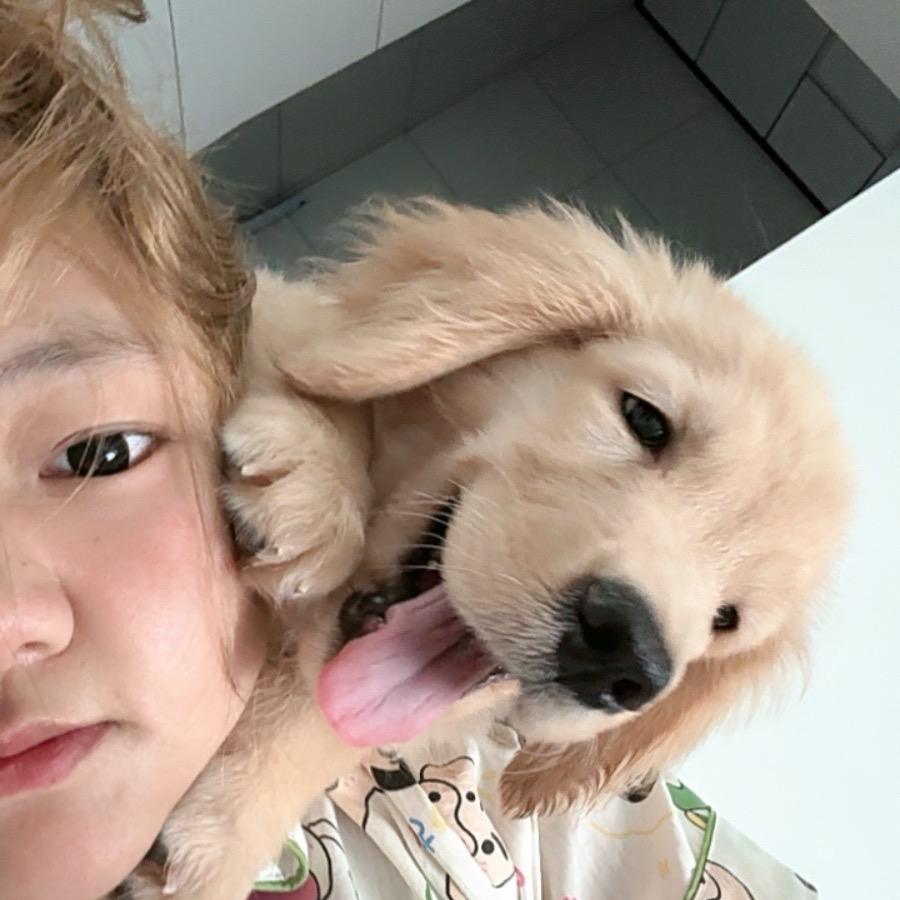燕宝&