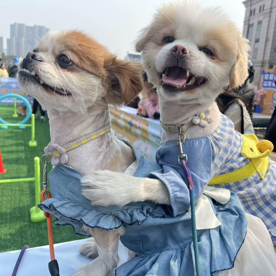 汉子珊