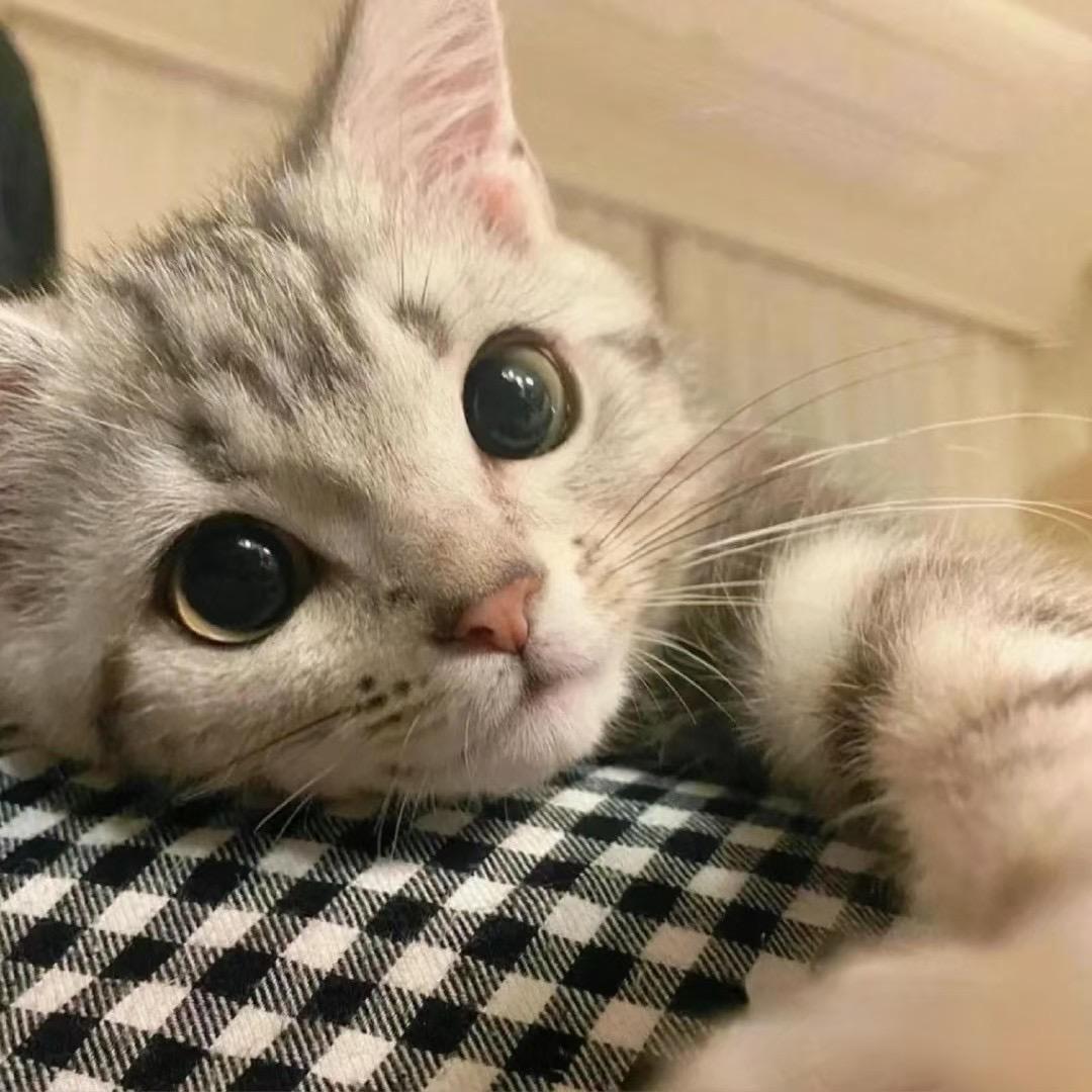 T-T