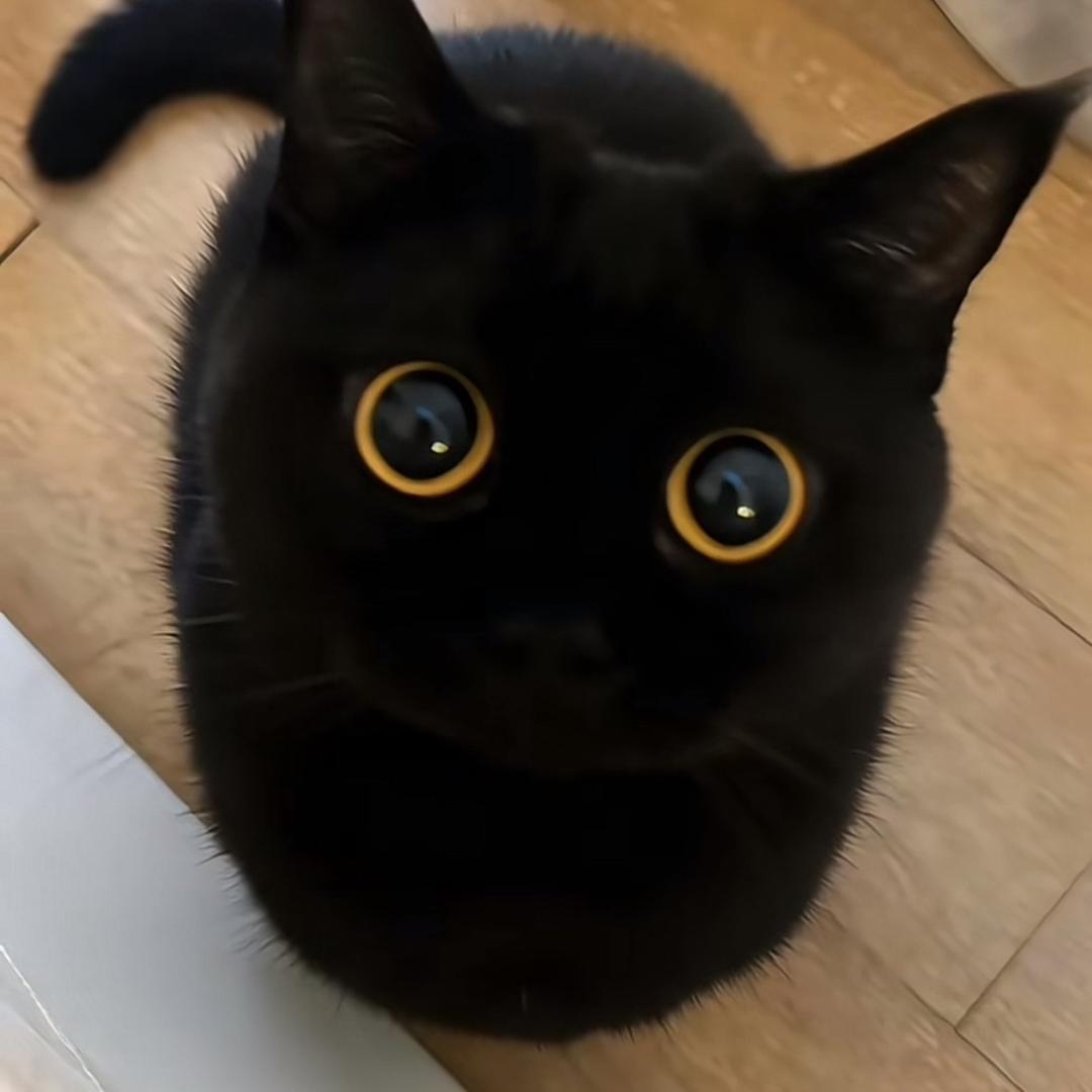 爱楹