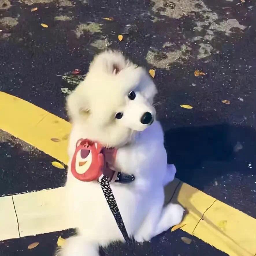 ：）