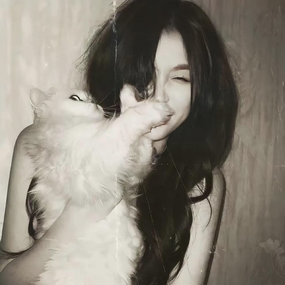 Stella_