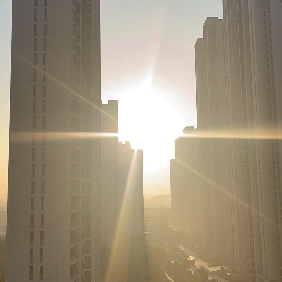 千金难买我真心