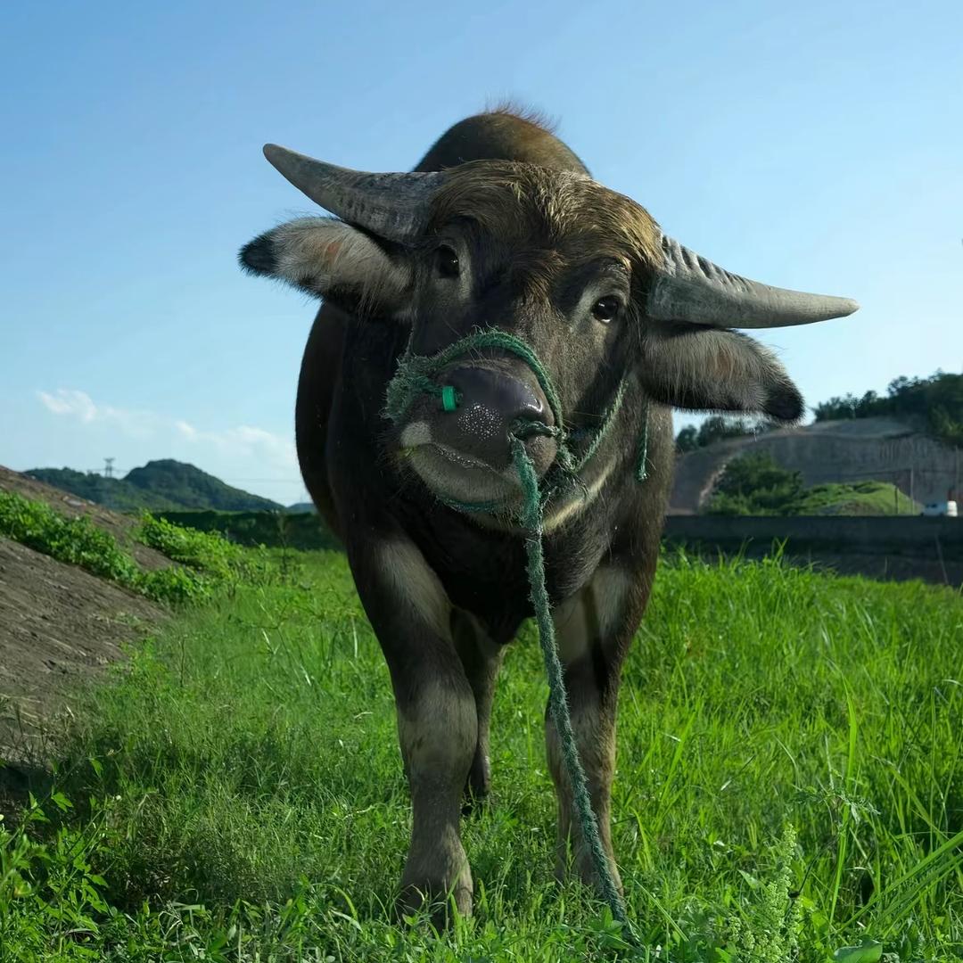 幸运饰你—需达人