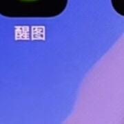 老谢