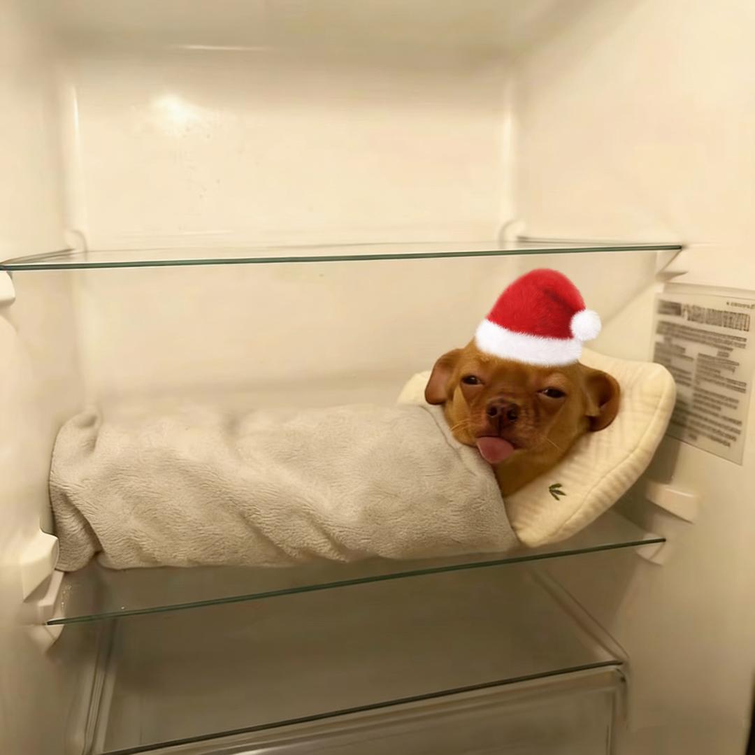 达利媛