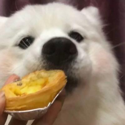 菜妞