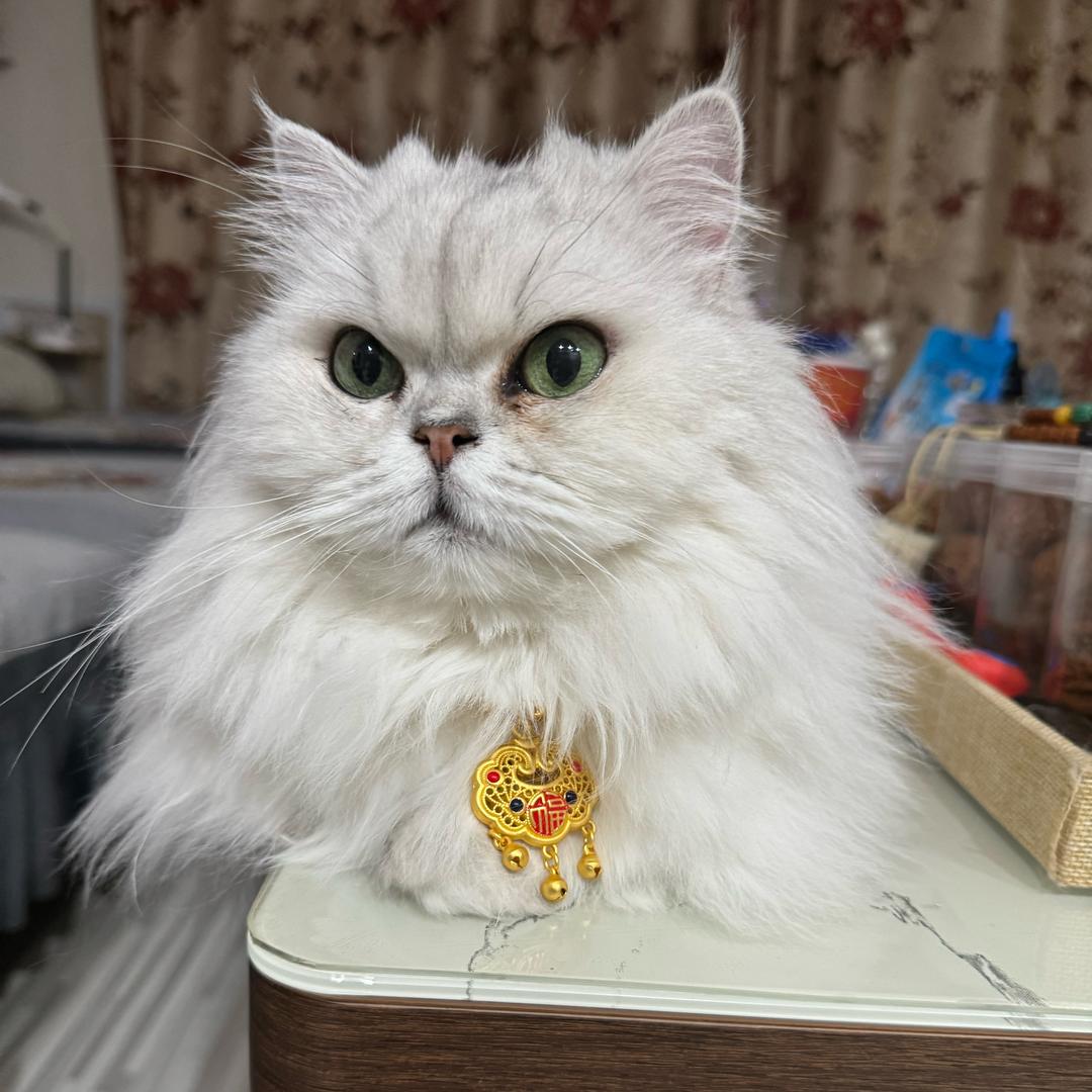 鑫馨